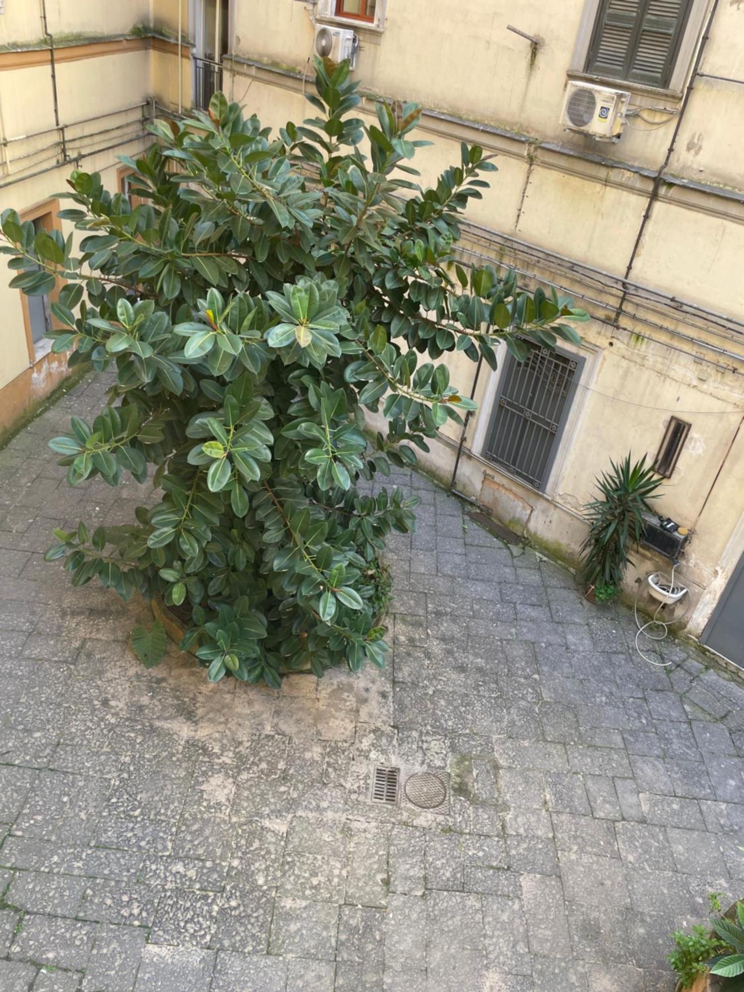 Napoli Station B&B Екстер'єр фото