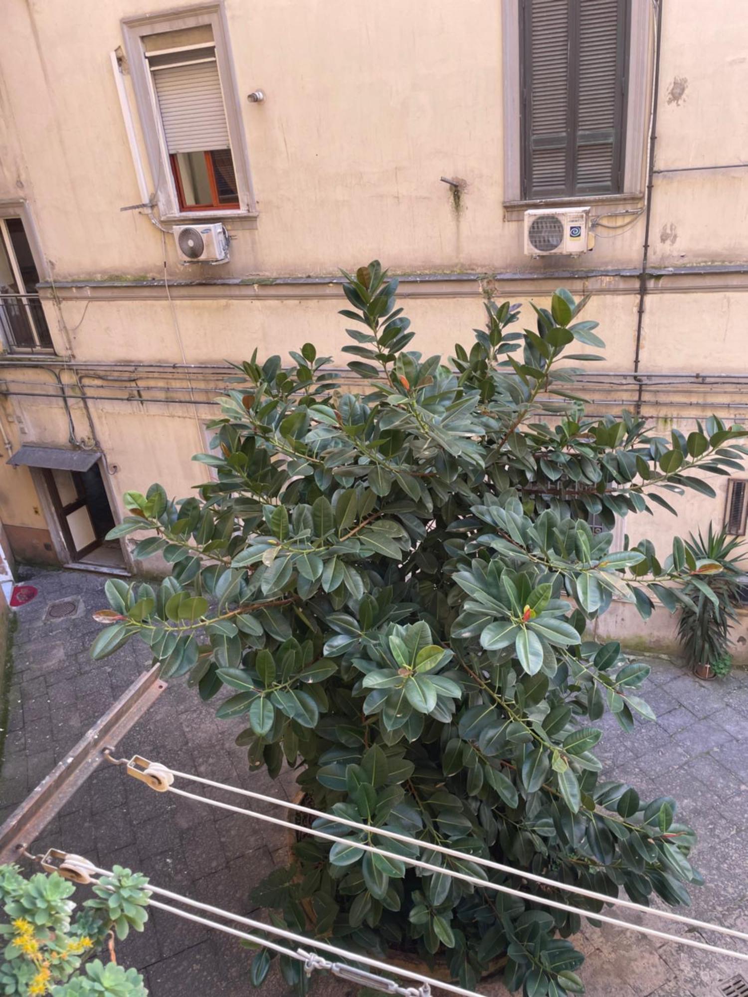 Napoli Station B&B Екстер'єр фото