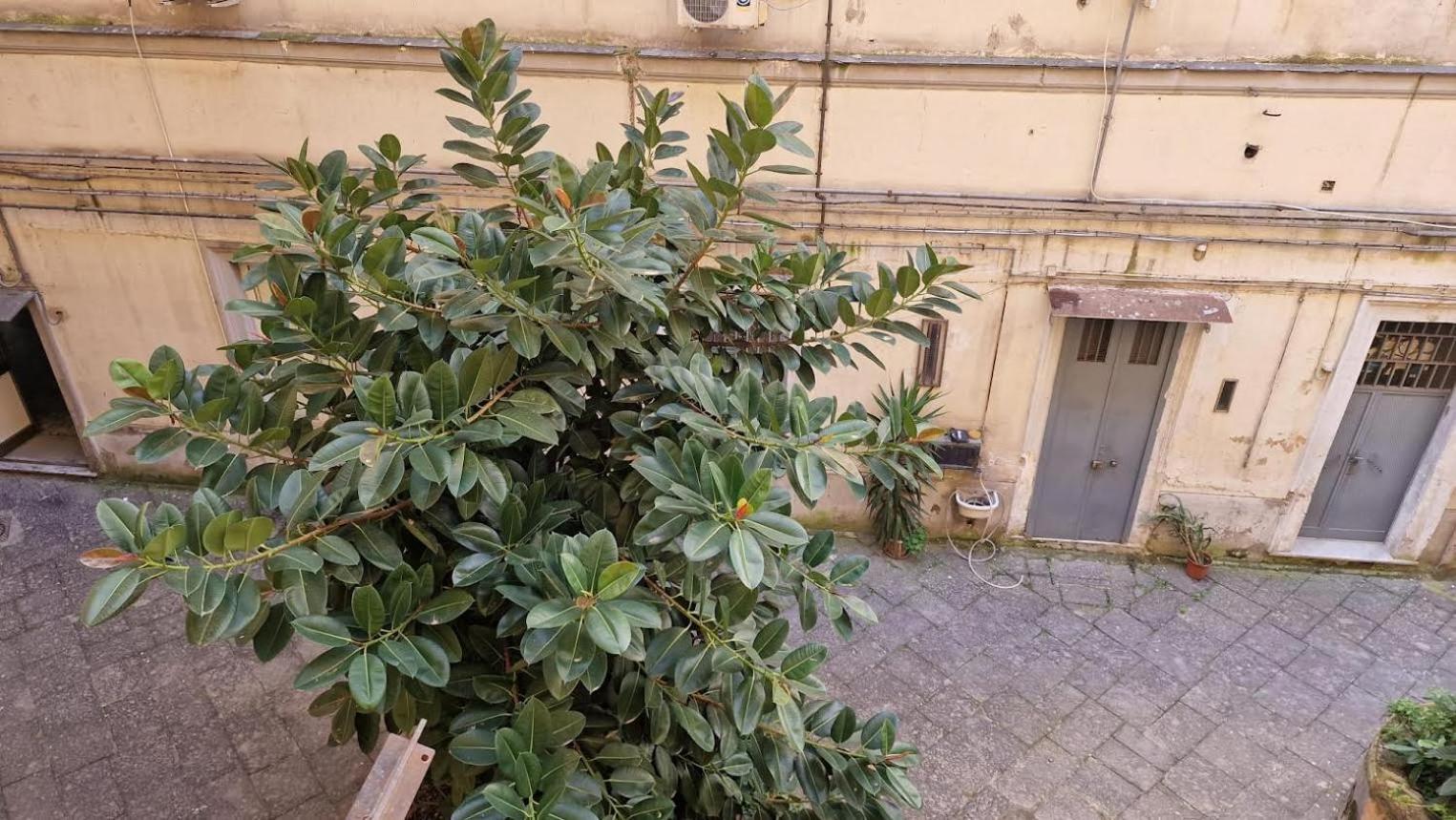 Napoli Station B&B Екстер'єр фото