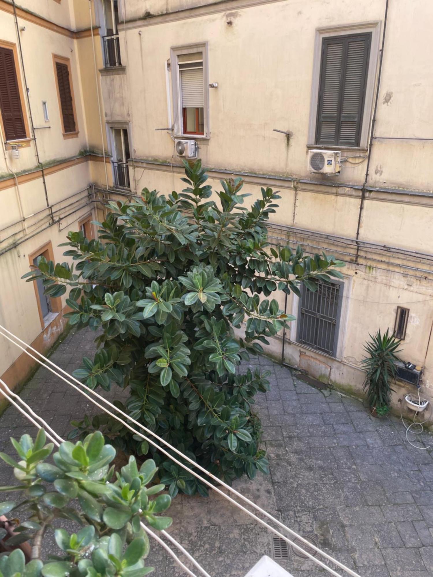 Napoli Station B&B Екстер'єр фото